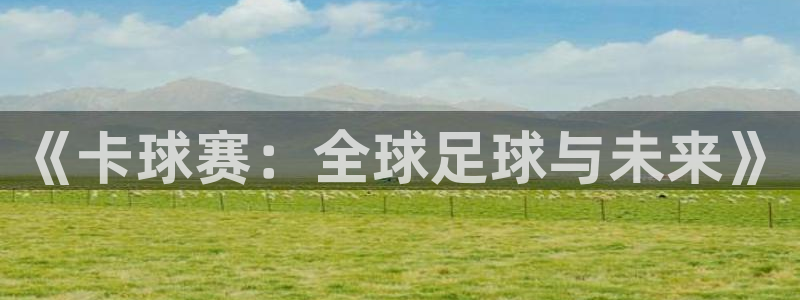 《卡球赛：全球足球与未来》
