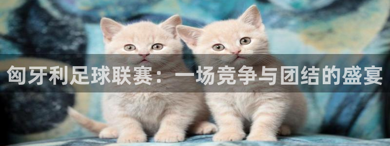  匈牙利足球联赛：一场竞争与团结的盛宴