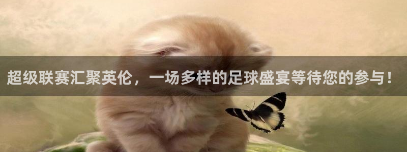  超级联赛汇聚英伦，一场多样的足球盛宴等待您的参与！
