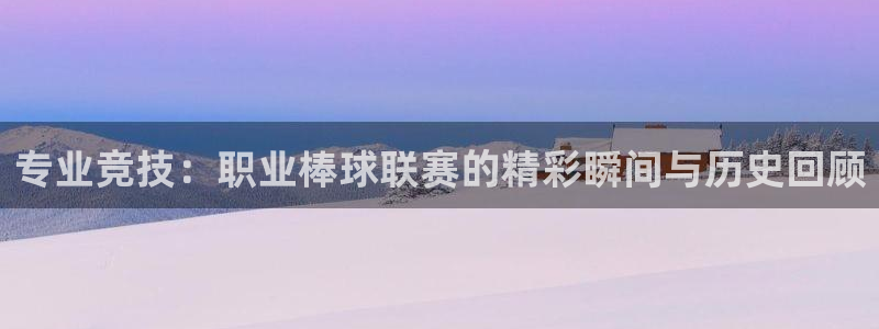专业竞技：职业棒球联赛的精彩瞬间与历史回顾