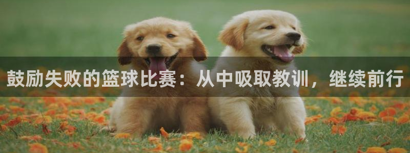  jn江南·体育网页版：鼓励失败的篮球比赛：从中吸取教训，继续