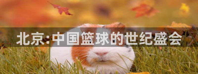 jn江南体育：北京:中国篮球的世纪盛会