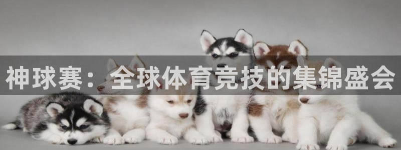  江南jn体育登录入口：神球赛：全球体育竞技的集锦盛会