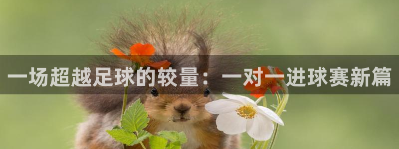  江南jnan：一场超越足球的较量：一对一进球赛新篇
