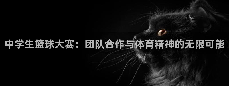  jn江南·体育：中学生篮球大赛：团队合作与体育精神的无限可能