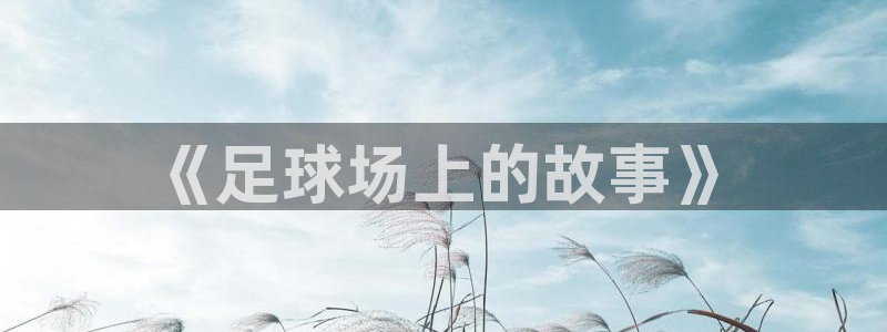  江南jnsport体育：《足球场上的故事》