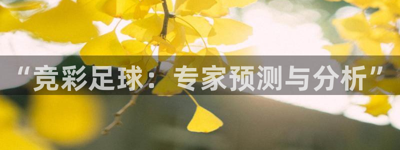 江南JN体育APP最新版本更新内容：“竞彩足球：专家预测与分
